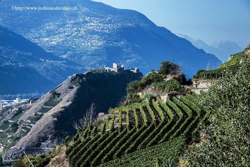 مبيت وإفطار Grimisuat Le Manoir De Champlan المظهر الخارجي الصورة